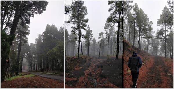 Cumbre Vieja National Park pictures.