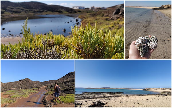 Lobos island pictures.