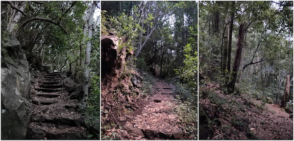 Los Tilos trails pictures.
