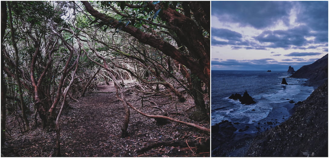 Rural Anaga Park pictures.